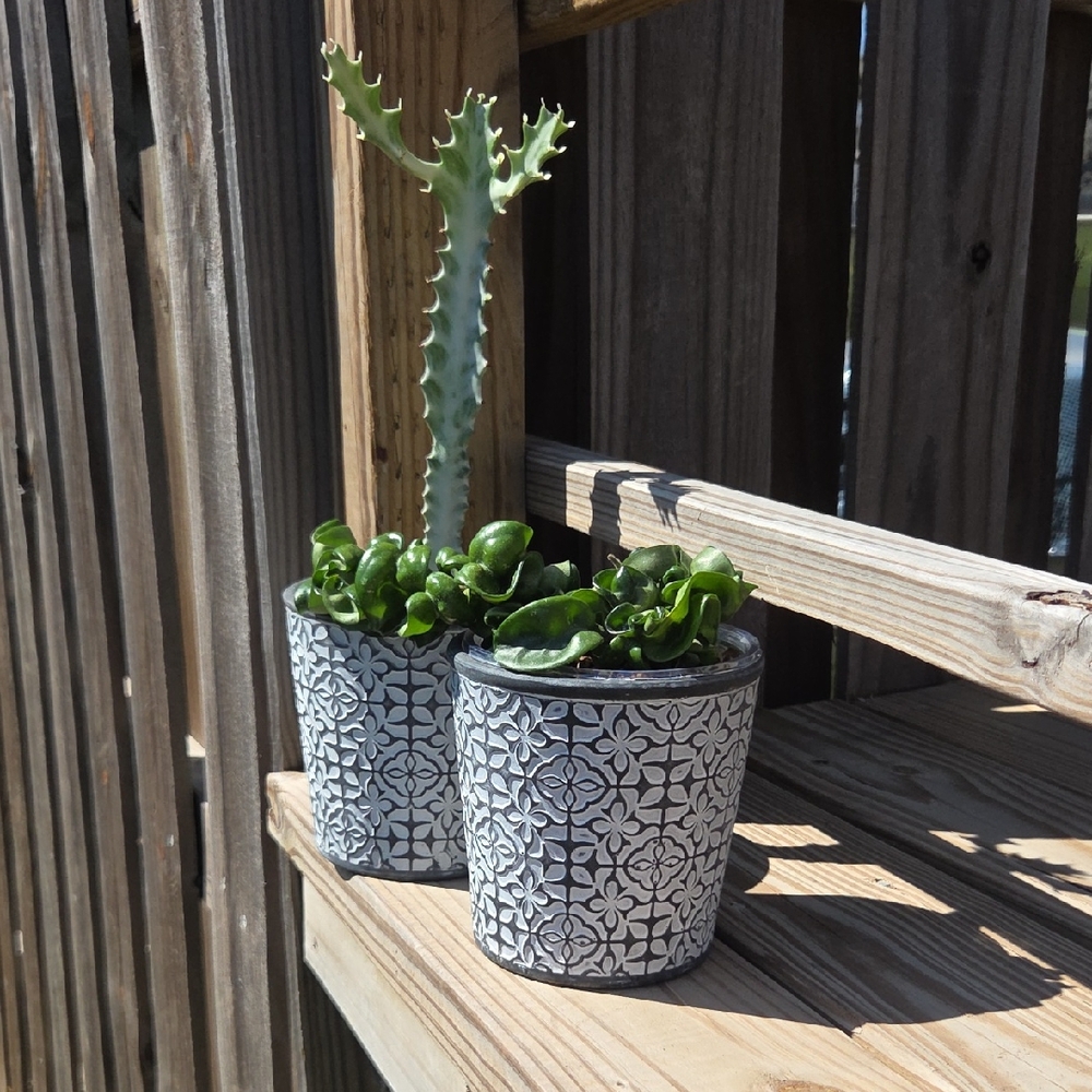 Aztec Geometric Embossed Ceramic Pottery 5" Planter Set Of Two